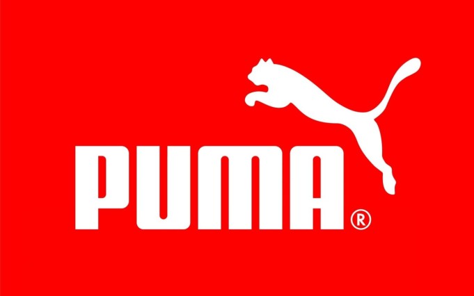 Puma influenza social network